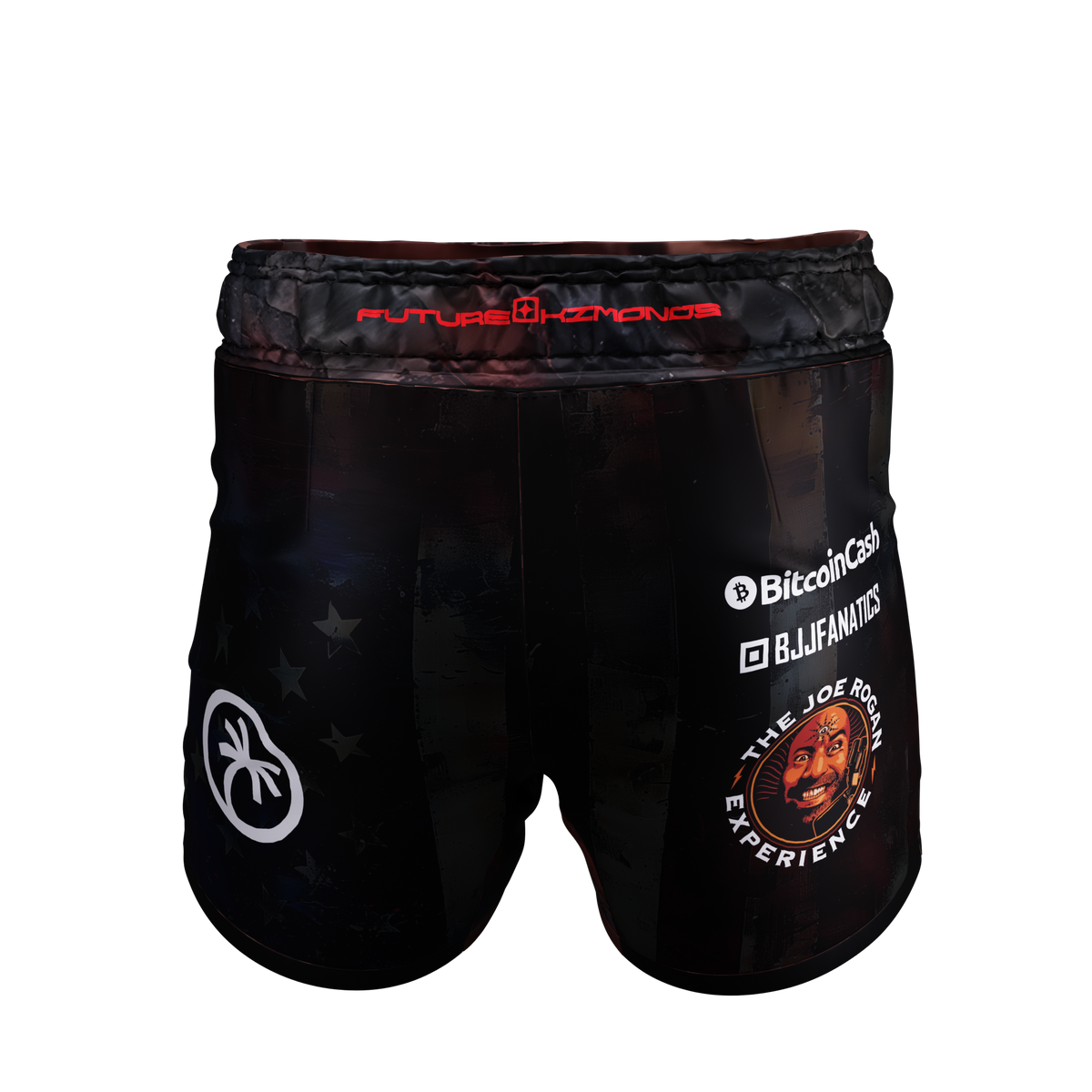 Gordon Ryan ADCC 2024 USA fight shorts, back