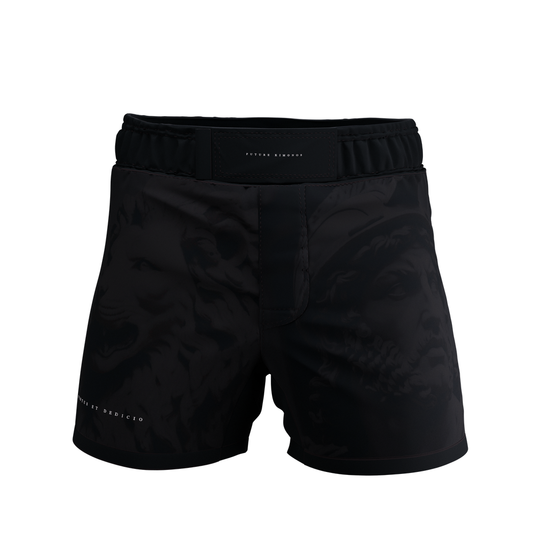 VED - Fight Shorts